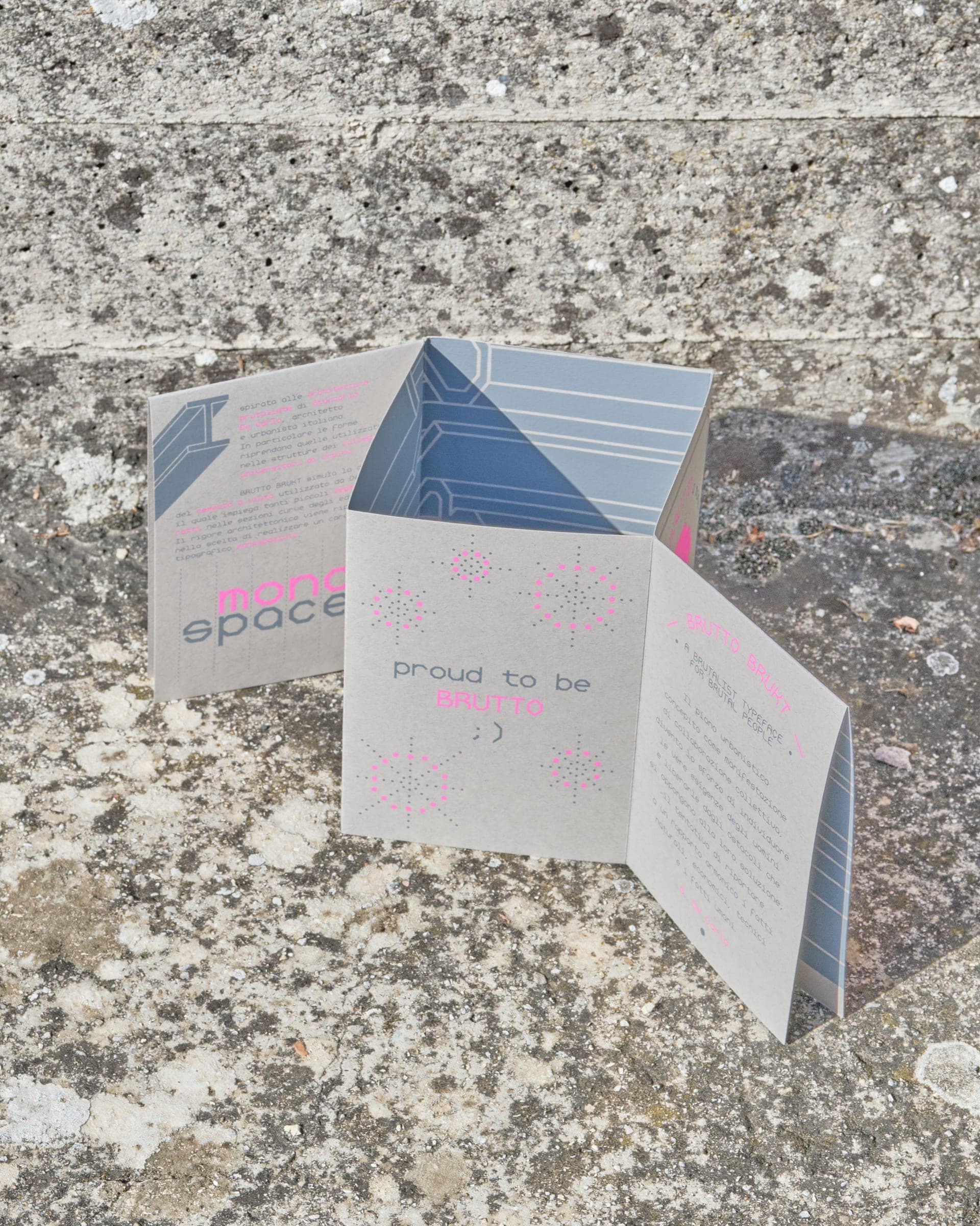Brutto Brukt — Type specimen - 4