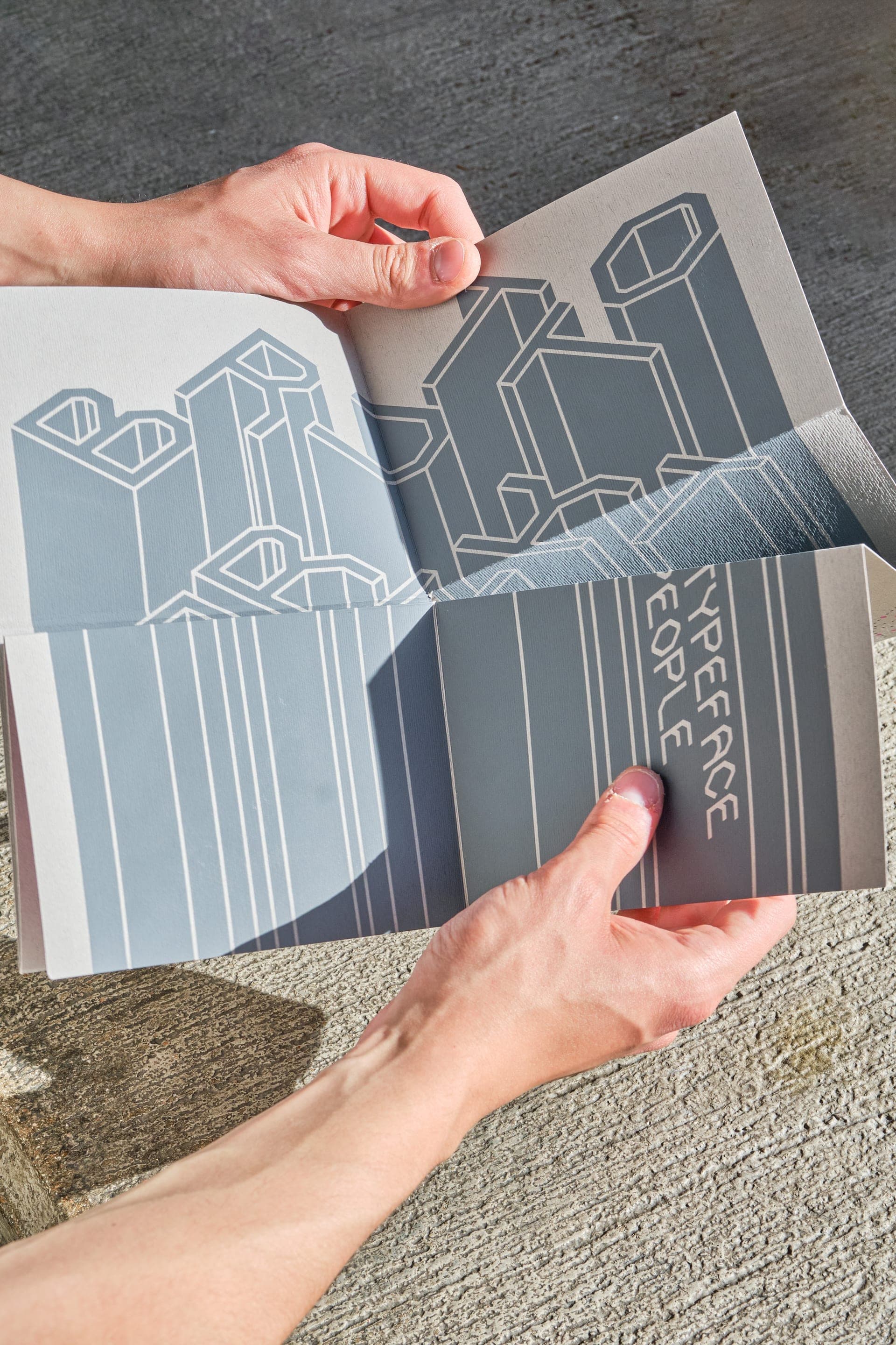Brutto Brukt — Type specimen - 8