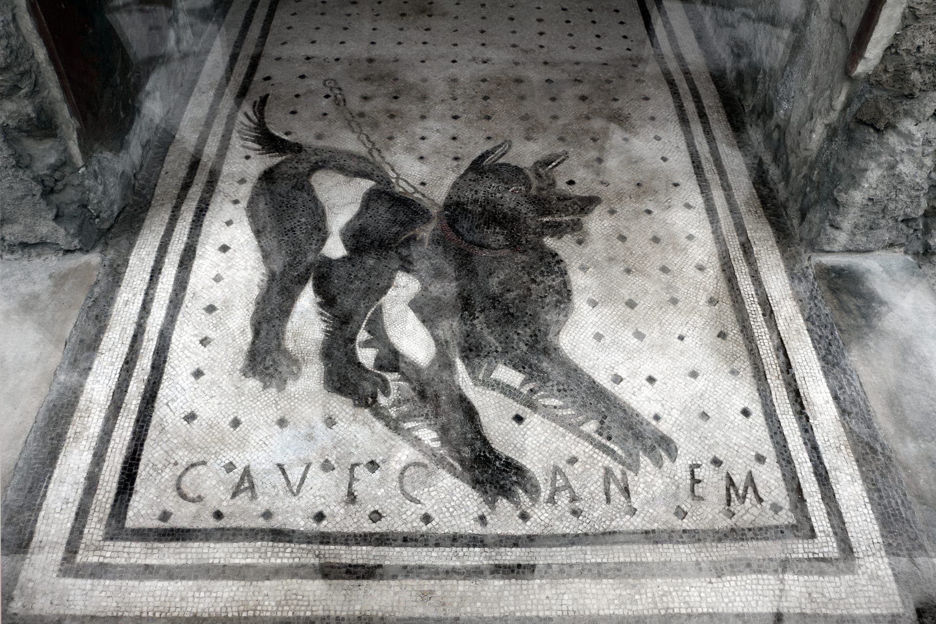 Cave Canem — Tapestry - 4